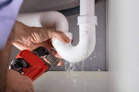 Best Commercial Plumbing Services  in Milan, MO